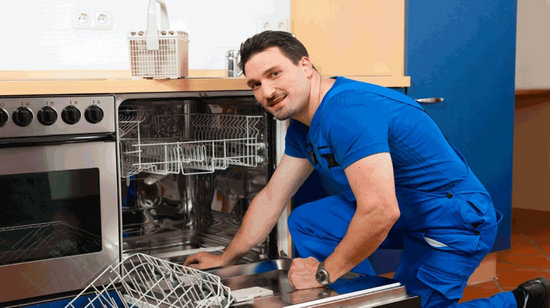 Ремонт посудомоечных машин Zanussi (занусси) в Киеве на дому